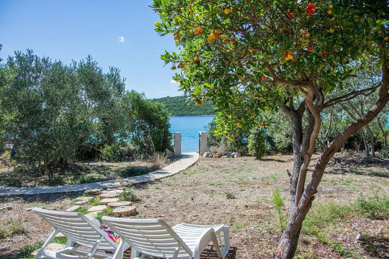 Vila House Divna Kraj  Exteriér fotografie